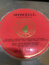 Spongelle- Small